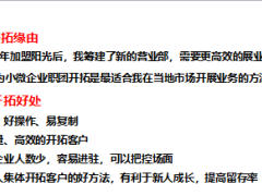 保險精英分享小微企業(yè)職團開拓技巧28頁.ppt