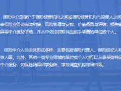 保险中介概念保险代理人VS独立代理人17页.ppt