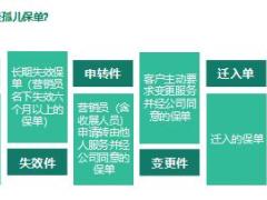 孤儿单的分配与开拓27页.ppt