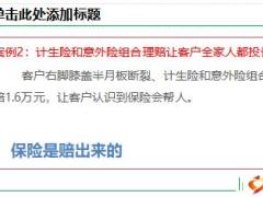 团险短险通村投保的开拓方法销售话术27页.ppt