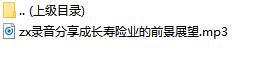 录音分享成长寿险业的前景展望.rar