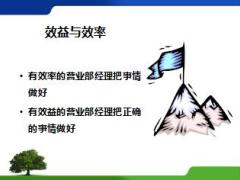高级经理晋升培训8增强领导技能28页.ppt