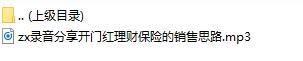 录音分享开门红理财保险的销售思路.rar