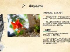 保险营销狼文化职场早会流程模板28页.ppt