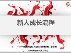 保险新人成长留存流程介绍33页.ppt