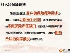 新人衔接培训18保额销售流程概述含工具备注41页.rar