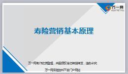 寿险营销基本原理含备注38页.ppt