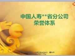 保险公司年度龙奖荣誉体系方案46页.ppt