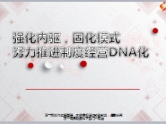 保險(xiǎn)營銷制度經(jīng)營DNA化操作技巧步驟與推動129頁.ppt