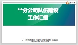 分公組織發(fā)展司隊伍建設(shè)工作匯報49頁.ppt