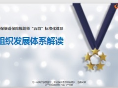 银保五自标准化体系之组织发展体系介绍66页.ppt