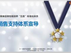 银保五自标准化体系之销售支持体系介绍68页.ppt