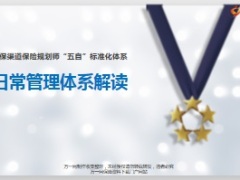 银保五自标准化体系之日常管理体系介绍83页.ppt