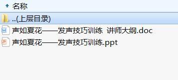 讲师日常训练教材19讲师发声技巧及讲师大纲.rar