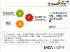 主管MCA2应具备的能力29页.ppt
