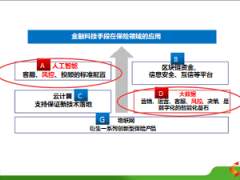 大数据时代的保险反欺诈及案例25页.ppt
