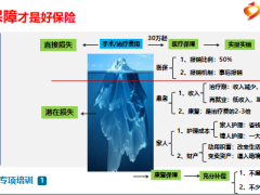 健康全家福之全額保障冰山圖訓練法11頁.ppt