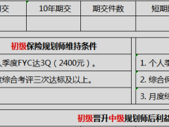 季度初中高級(jí)主管團(tuán)隊(duì)發(fā)展規(guī)劃面談表6頁.xlsx