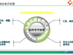 績(jī)效管理工作概述19頁.ppt