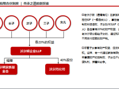 高凈值客戶概貌財(cái)富目標(biāo)市場(chǎng)分析32頁(yè).ppt