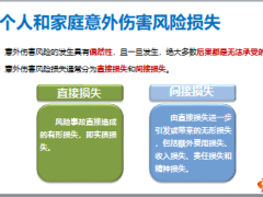 個人和家庭意外傷害風險管理之風險評估12頁.ppt