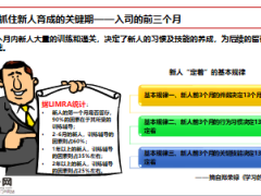 新人育成形势及关键点解析典型经验43页.ppt