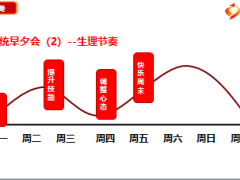 营业部自主经营实操篇基础管理功能组之会议经营67页.ppt