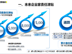 未來企業(yè)家計(jì)劃增員方案細(xì)則22頁.ppt