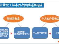 個人和家庭養(yǎng)老風險管理基本養(yǎng)老制度分析17頁.ppt