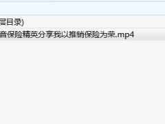 录音保险精英分享我以推销保险为荣.rar
