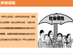社保养老保险相关知识社保VS商保2019社保新政31页.pptx