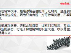 防范销售误导篇案例解读要点提10页.pptx