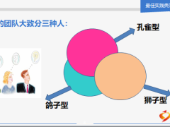 深度剖性格晉升更迅速典型案例22頁.ppt