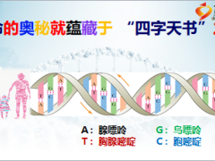 基因概念發(fā)展變革解讀17頁(yè).ppt