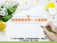 新人育成A7走进保险世界之人身保险2018版34页.pptx