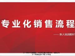 新人培训专业化销售流程97页.pptx