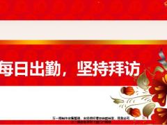 新人集中培训2每日出勤坚持拜访24页.pptx