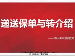 新人集中培训3保单递送准备步骤演练转介绍30页.pptx