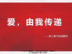新人集中培训9由我传递爱14页.pptx