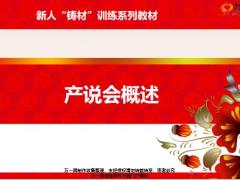 新人铸材训练系列3产说会概述典范分享22页.pptx