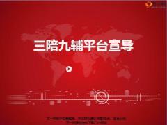 三陪九辅平台推出背景设计逻辑经验成果36页.pptx