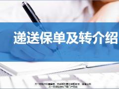 绩优新人班10递送保单及转介绍含备注20页.pptx