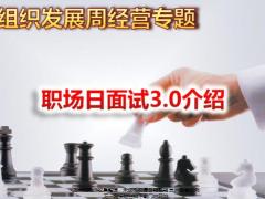 組織發(fā)展周經(jīng)營(yíng)專題職場(chǎng)日面試3.0介紹含備注14頁.pptx