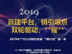 2019分公司組織發(fā)展季度經(jīng)營(yíng)策略節(jié)奏25頁(yè).pptx