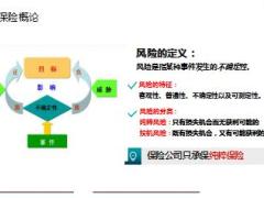 電銷崗前培訓(xùn)5保險基礎(chǔ)24頁.pptx