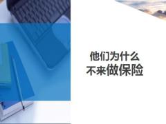 他們?yōu)槭裁床粊碜霰ｋU6頁.ppt