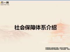 衔接训练10社会保障体系介绍阶梯图含备注41页.pptx