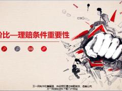 性价比理赔条件重要性12页.pptx