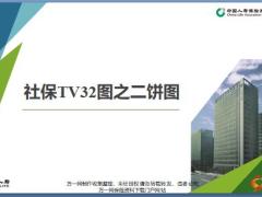 社保TV32图逻辑关系之二饼图10页.pptx