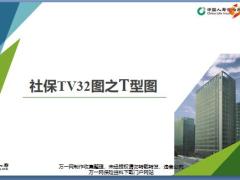 社保TV32图逻辑关系之T型图18页.pptx